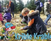 Krible Krable