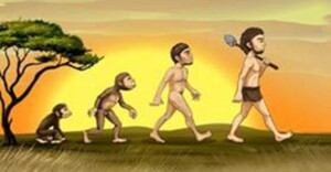 Fra abe til menneske