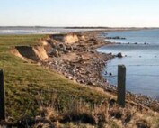 Strandlandskab