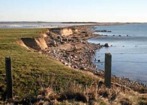 Strandlandskab